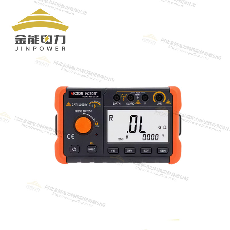 胜利绝缘电阻测试仪VC60B+