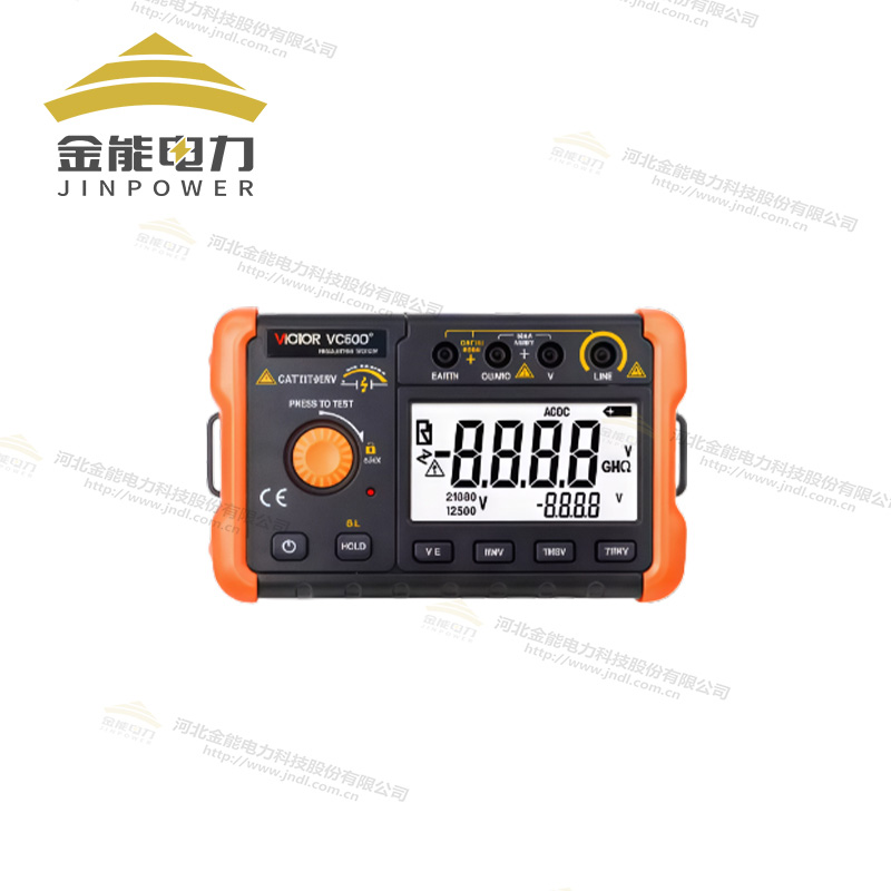 胜利绝缘电阻测试仪VC60D+